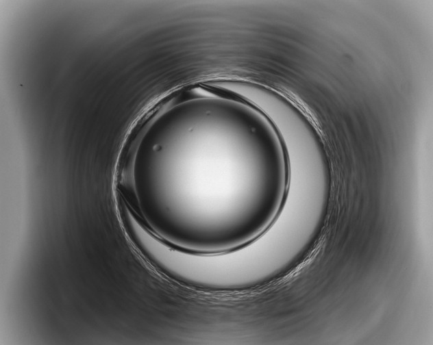 X0000097870893200803211312