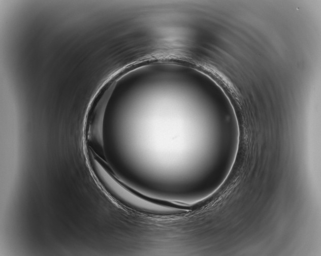 X0000097870894200803211312