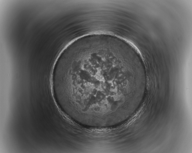 X0000097870895200803211312