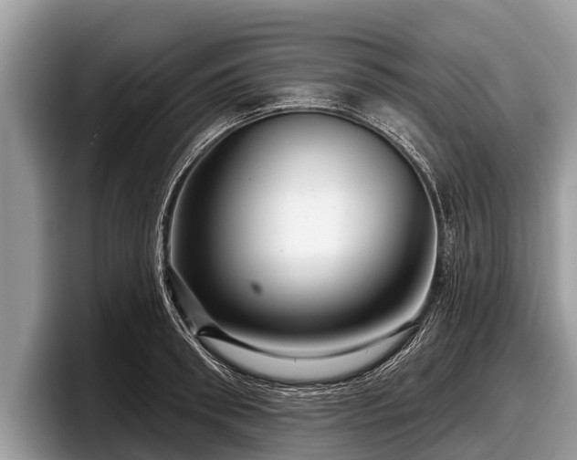 X0000097870898200803211312