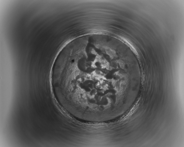 X0000097870899200803211312