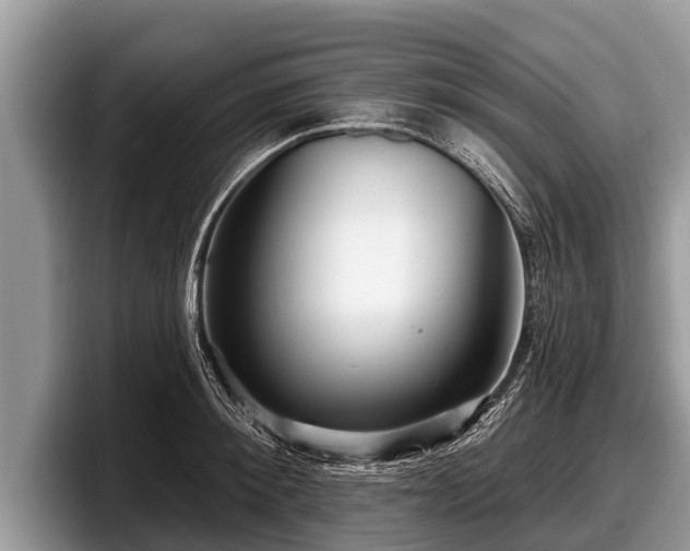 X0000097870900200803211312