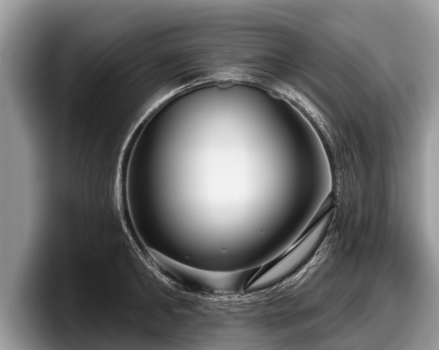 X0000097870902200803211312