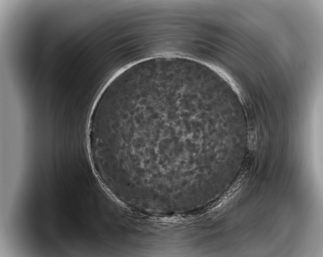 X0000097870903200803211312