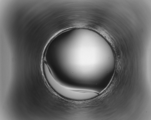 X0000097870904200803211312