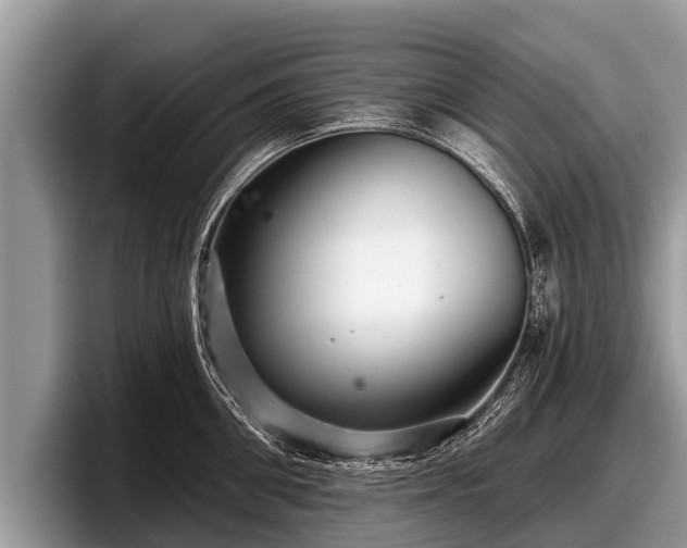 X0000097870906200803211312