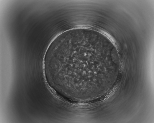 X0000097870907200803211312