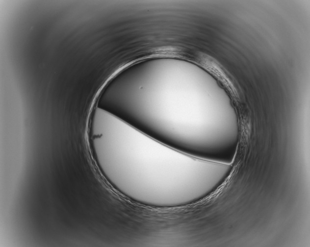 X0000097870908200803211312