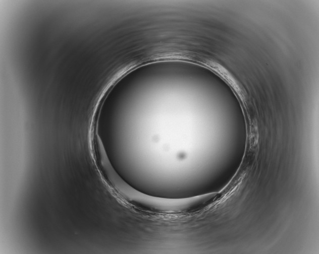 X0000097870909200803211312