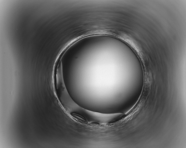 X0000097870910200803211312