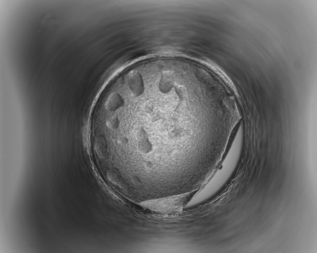 X0000097870911200803211312