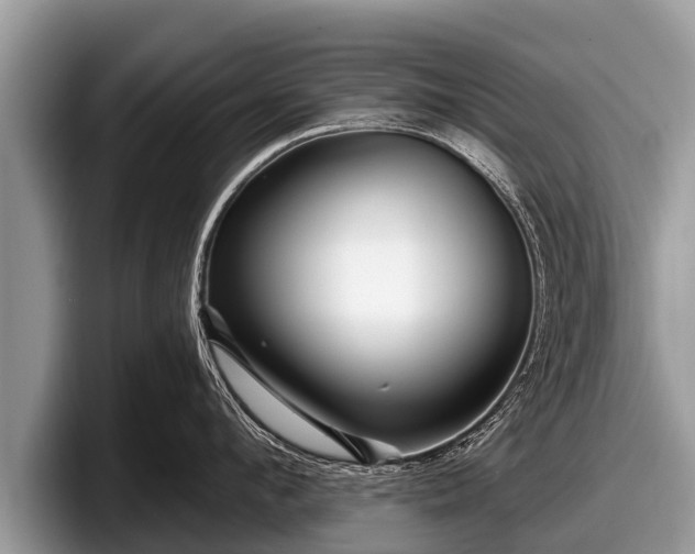 X0000097870912200803211312
