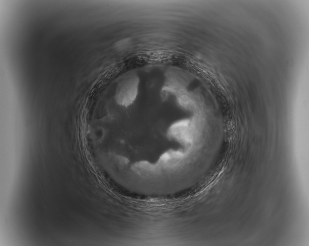 X0000097870913200803211311