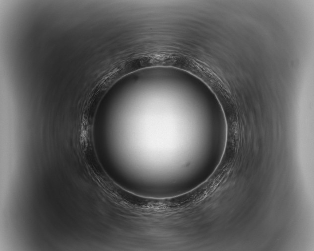 X0000097870914200803211311