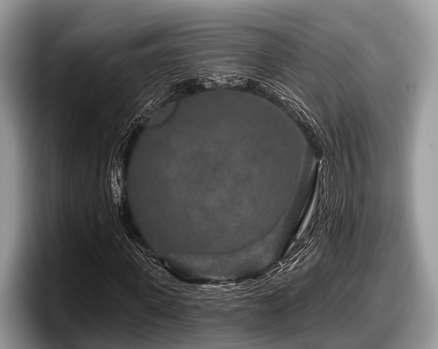 X0000097870915200803211311