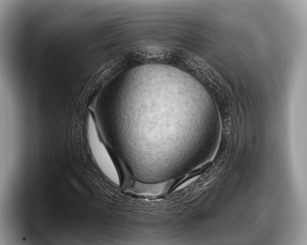 X0000097870916200803211311