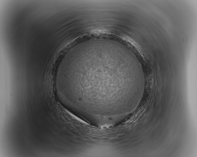X0000097870919200803211311
