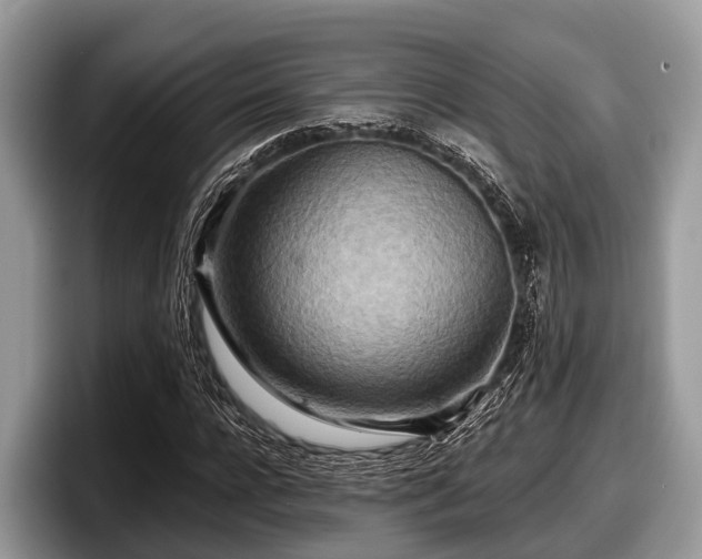 X0000097870920200803211311