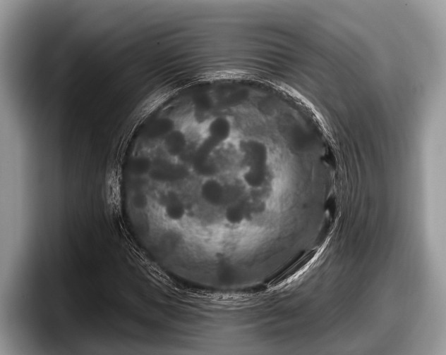 X0000097870921200803211311