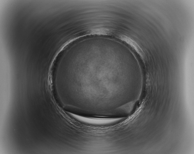 X0000097870923200803211311