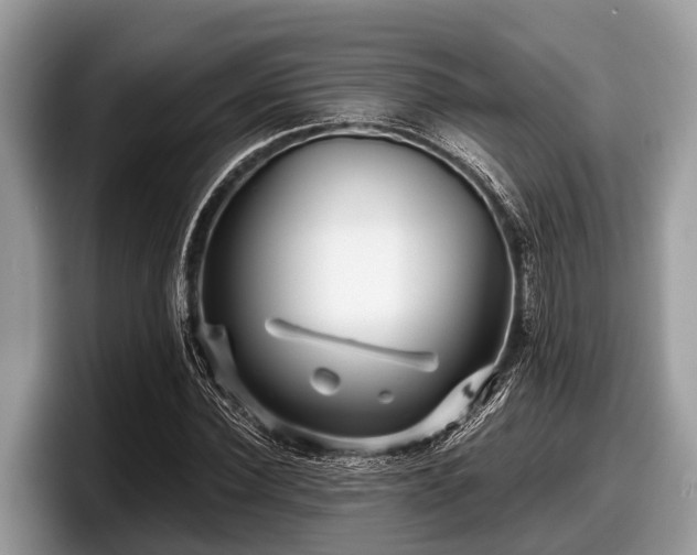 X0000097870924200803211311