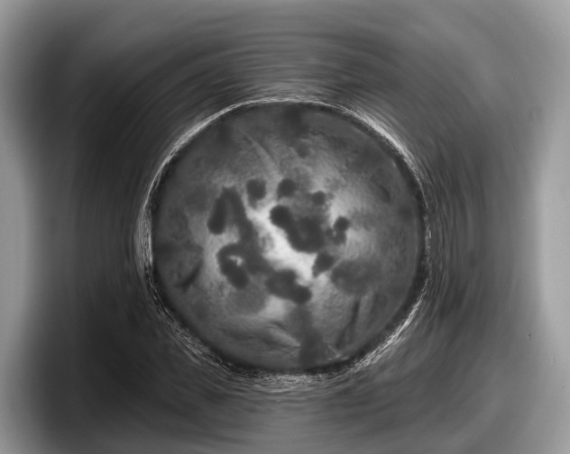 X0000097870925200803211311
