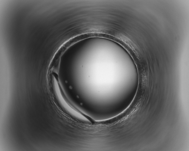 X0000097870926200803211311