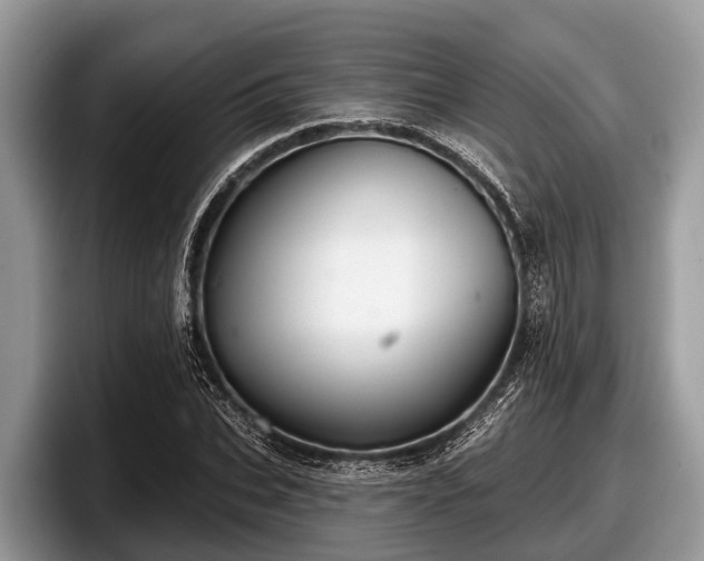 X0000097870927200803211311