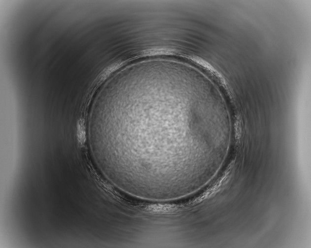 X0000097870929200803211311