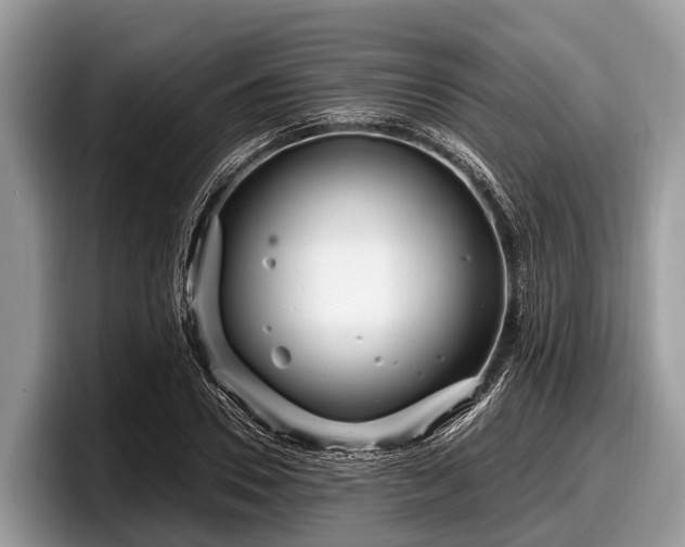 X0000097870930200803211311