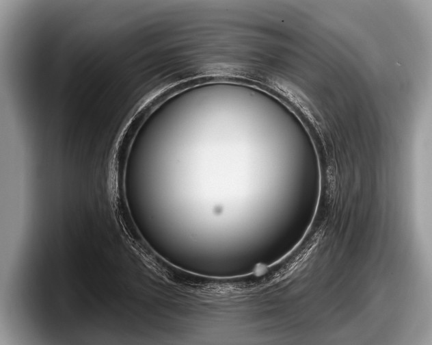 X0000097870931200803211311