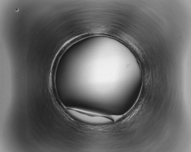 X0000097870932200803211311