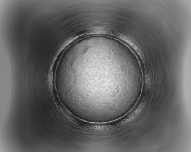 X0000097870933200803211311