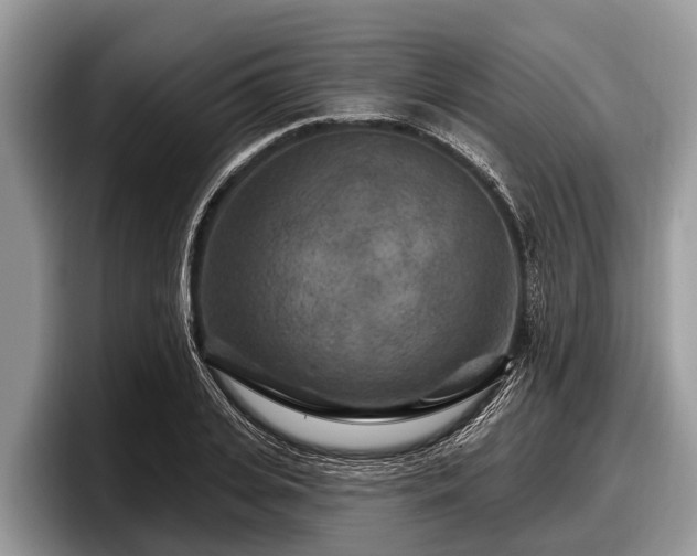 X0000097870935200803211311