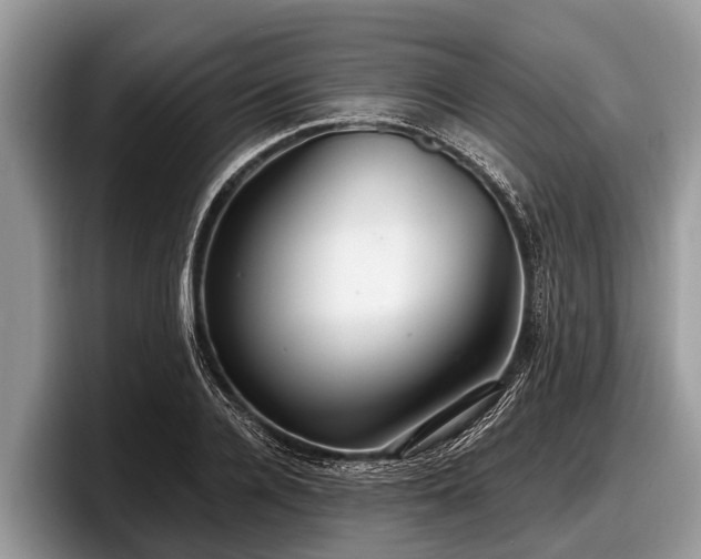 X0000097870936200803211311