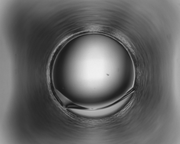 X0000097870939200803211311