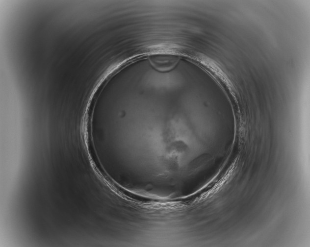 X0000097870941200803211311
