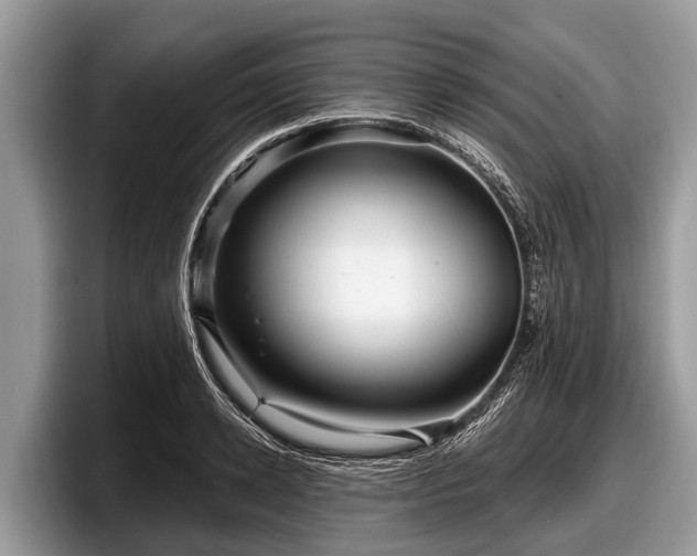 X0000097870942200803211311