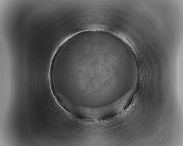 X0000097870943200803211311