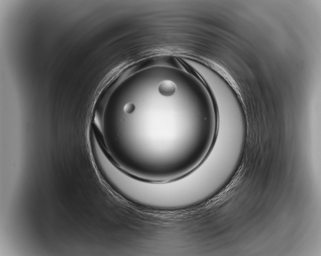 X0000097870946200803211311