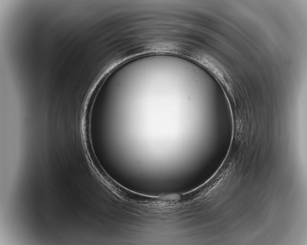 X0000097870947200803211311