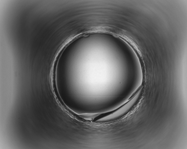 X0000097870949200803211311