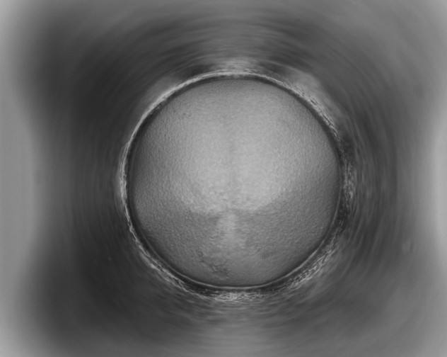 X0000097870950200803211311