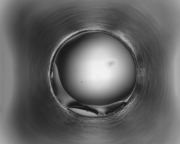 X0000097870951200803211311