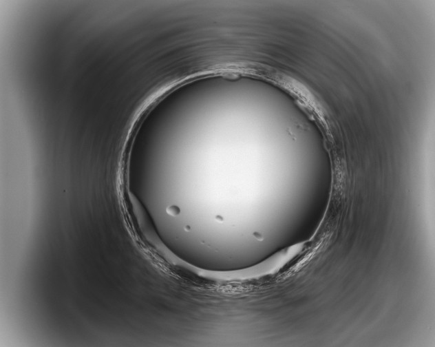 X0000097870952200803211311
