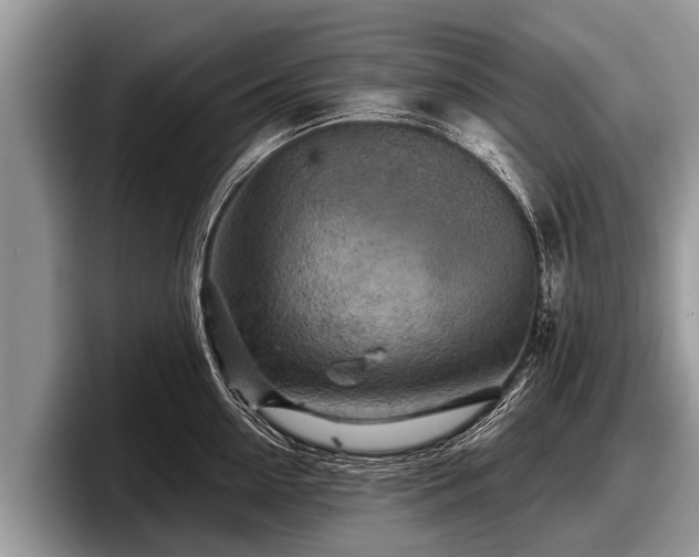 X0000097870954200803211311