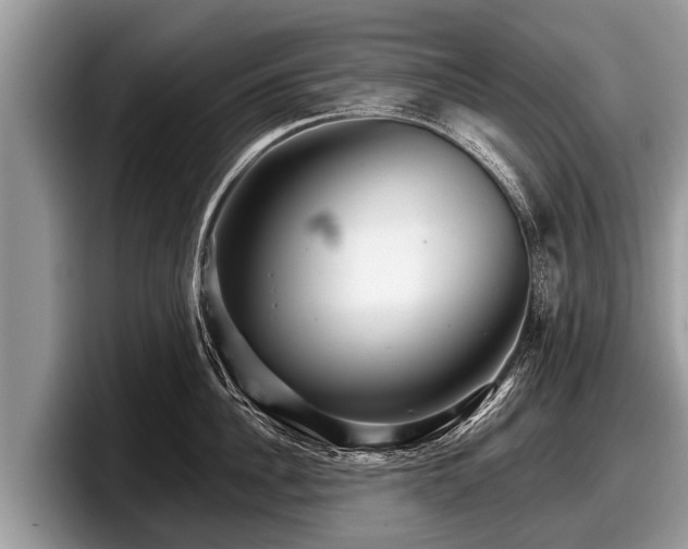 X0000097870956200803211311