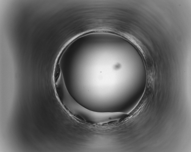X0000097870959200803211312