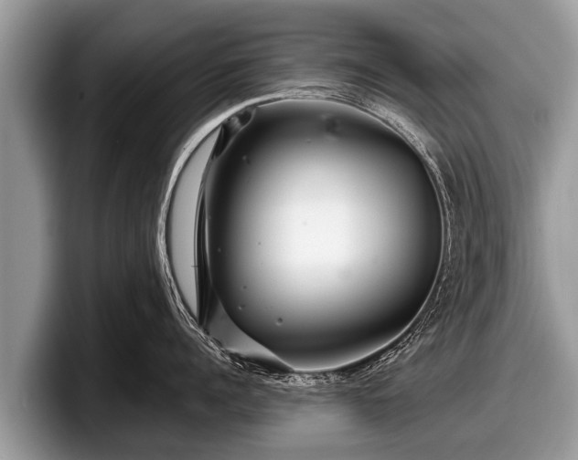 X0000097870960200803211312