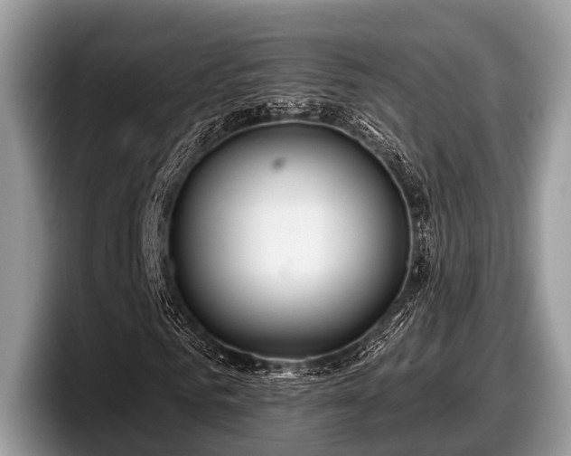 X0000097870961200803211311